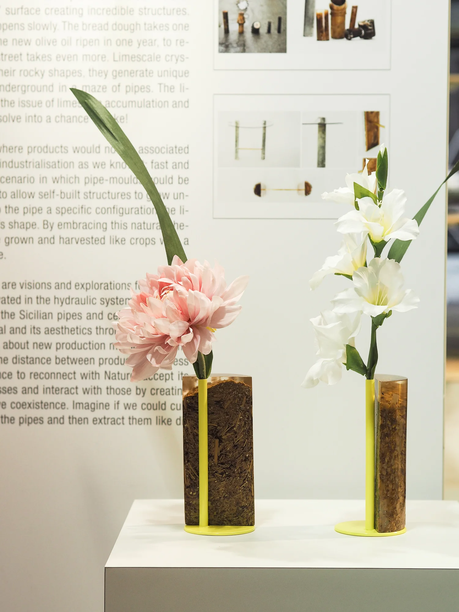 The Limescal Project by Martina Taranto