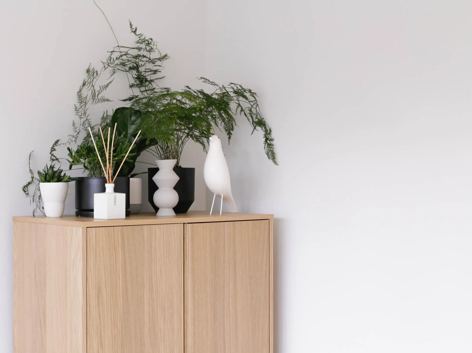Plants in home office