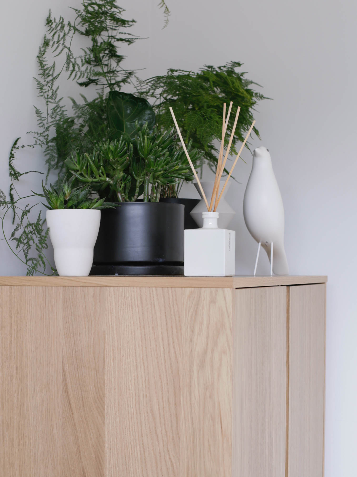 Houseplants and white Vitra house bird