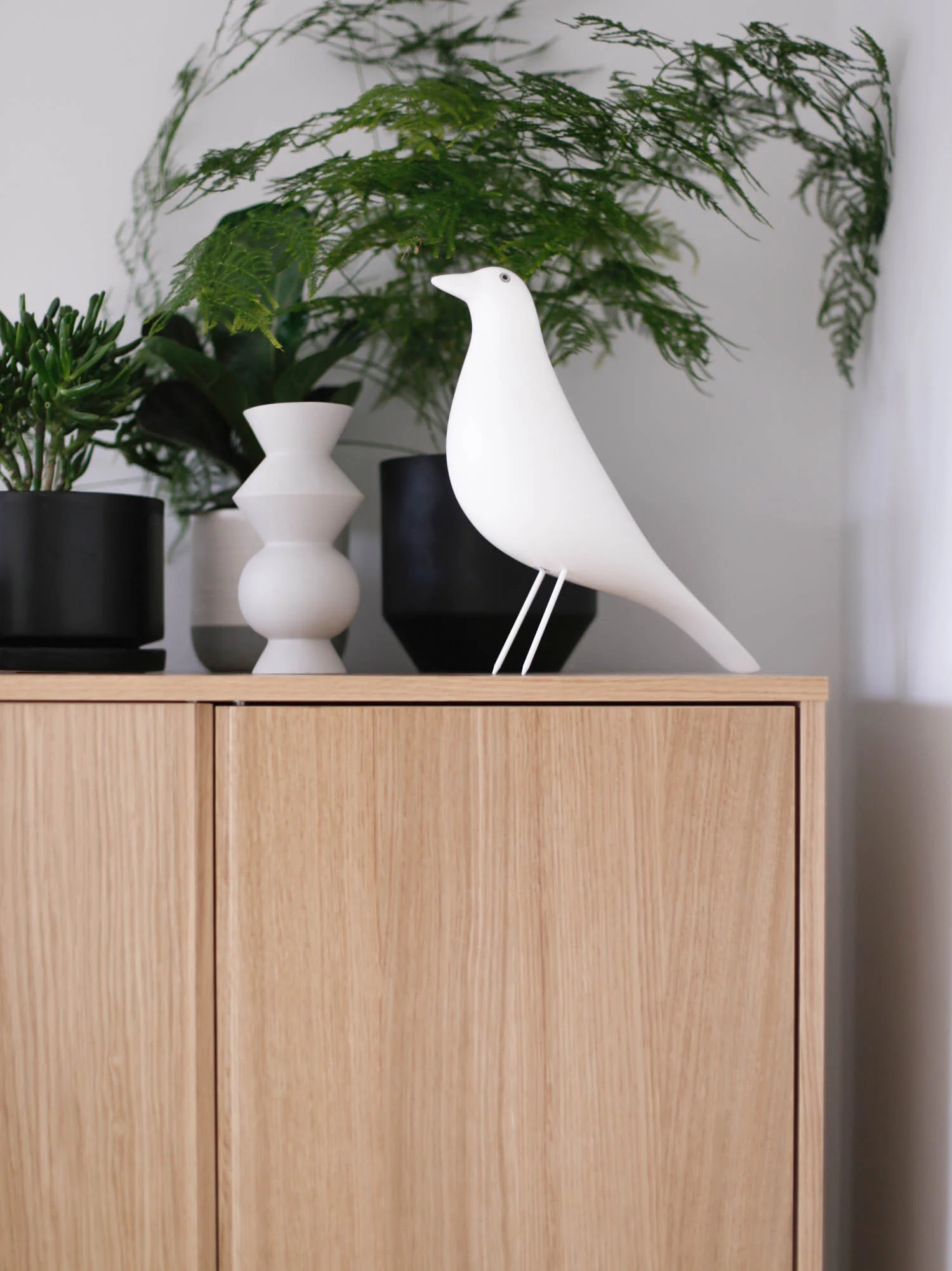 Plants and white Vitra house bird