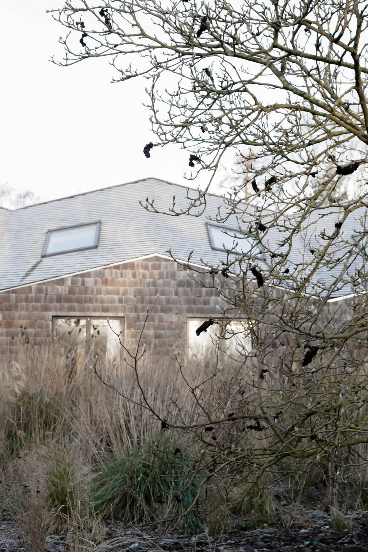 The garden at Five Acre Barn in winter.jpg