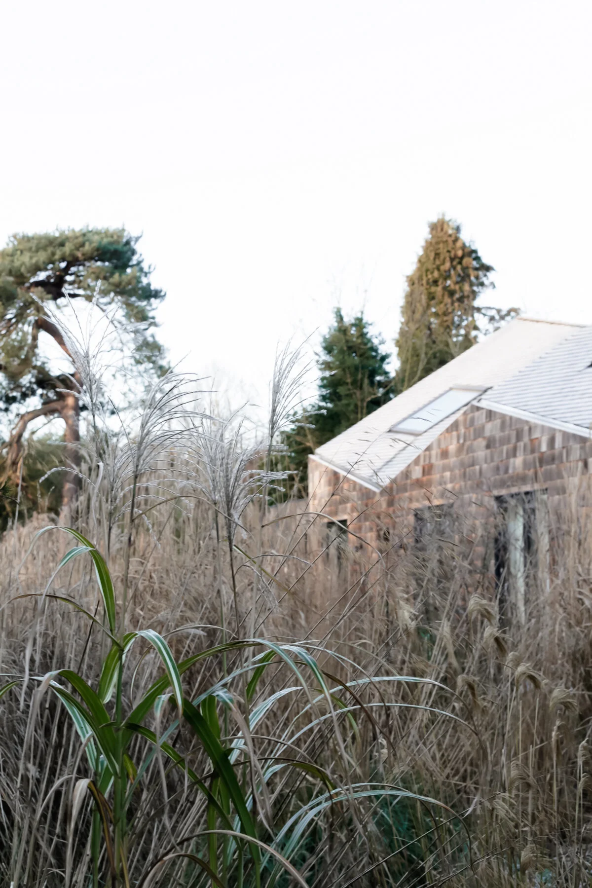A winter weekend in Suffolk