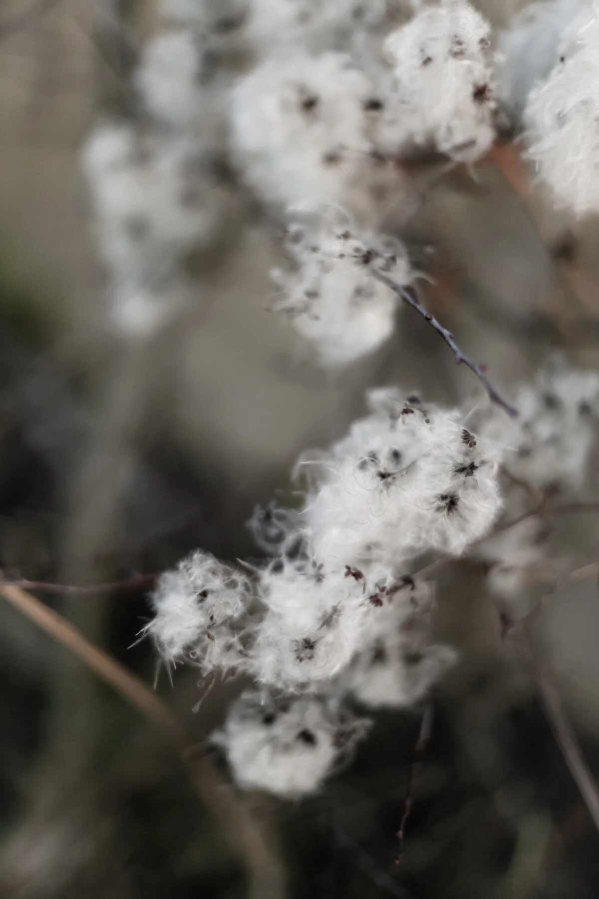 The winter landscape-1.jpg