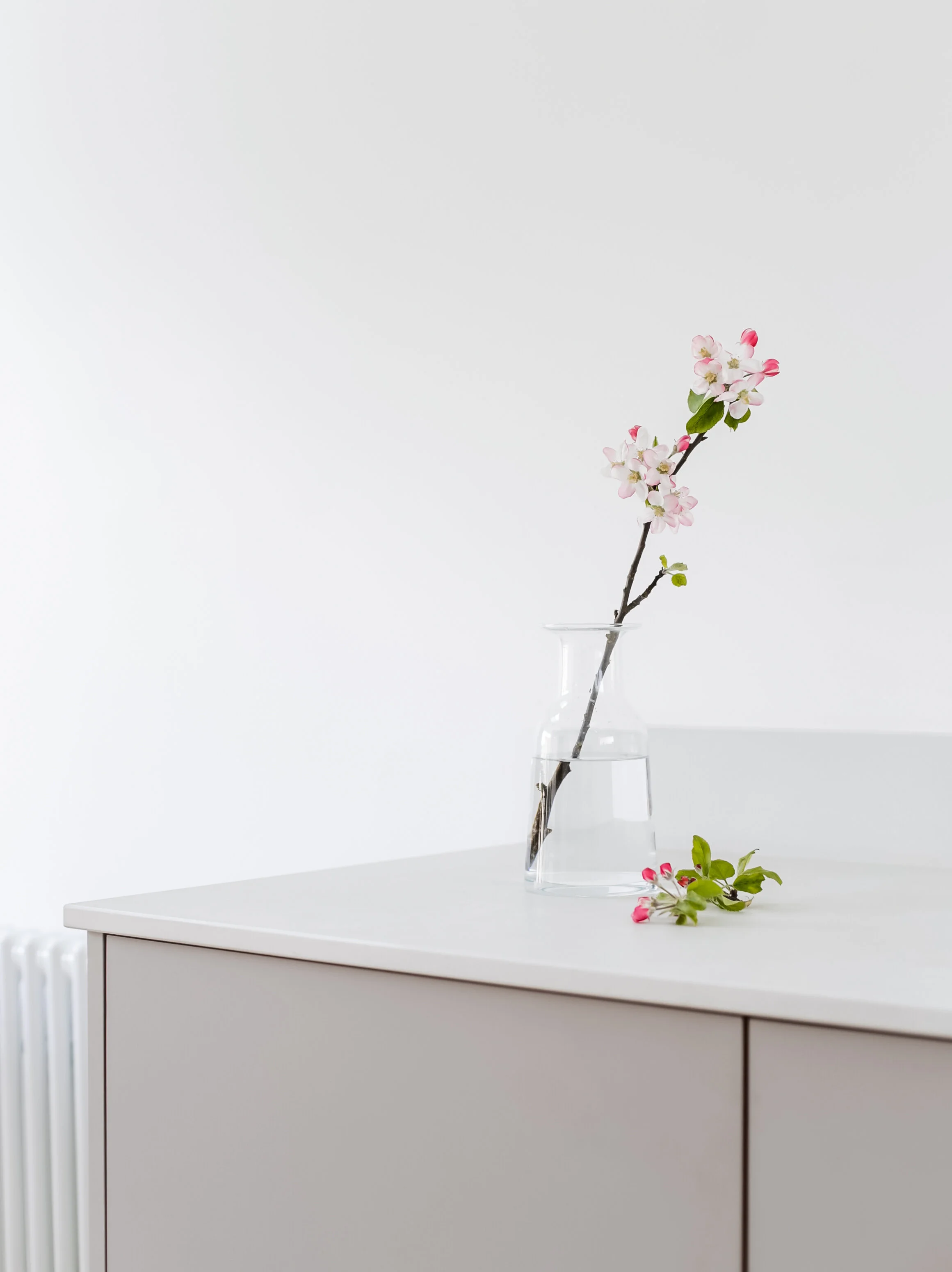 Apple blossom - Design Hunter-1.jpg