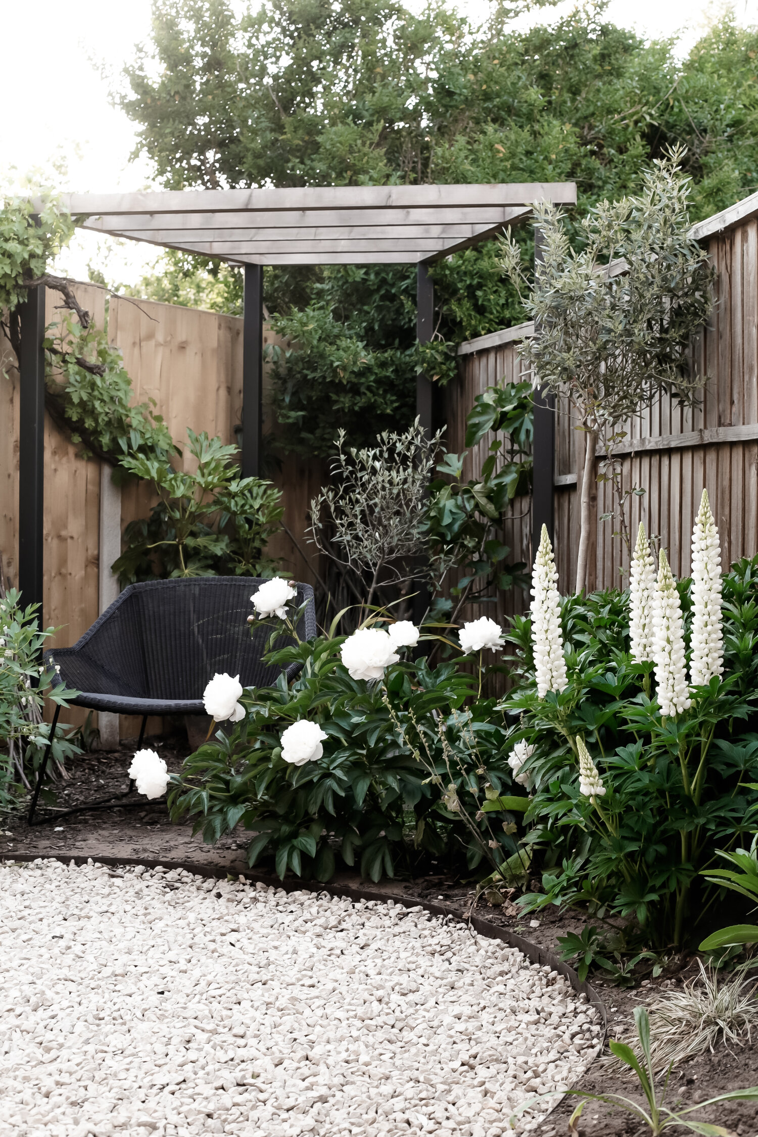 Cottage style gravel garden with pergola, peonies and lupins-1.jpg