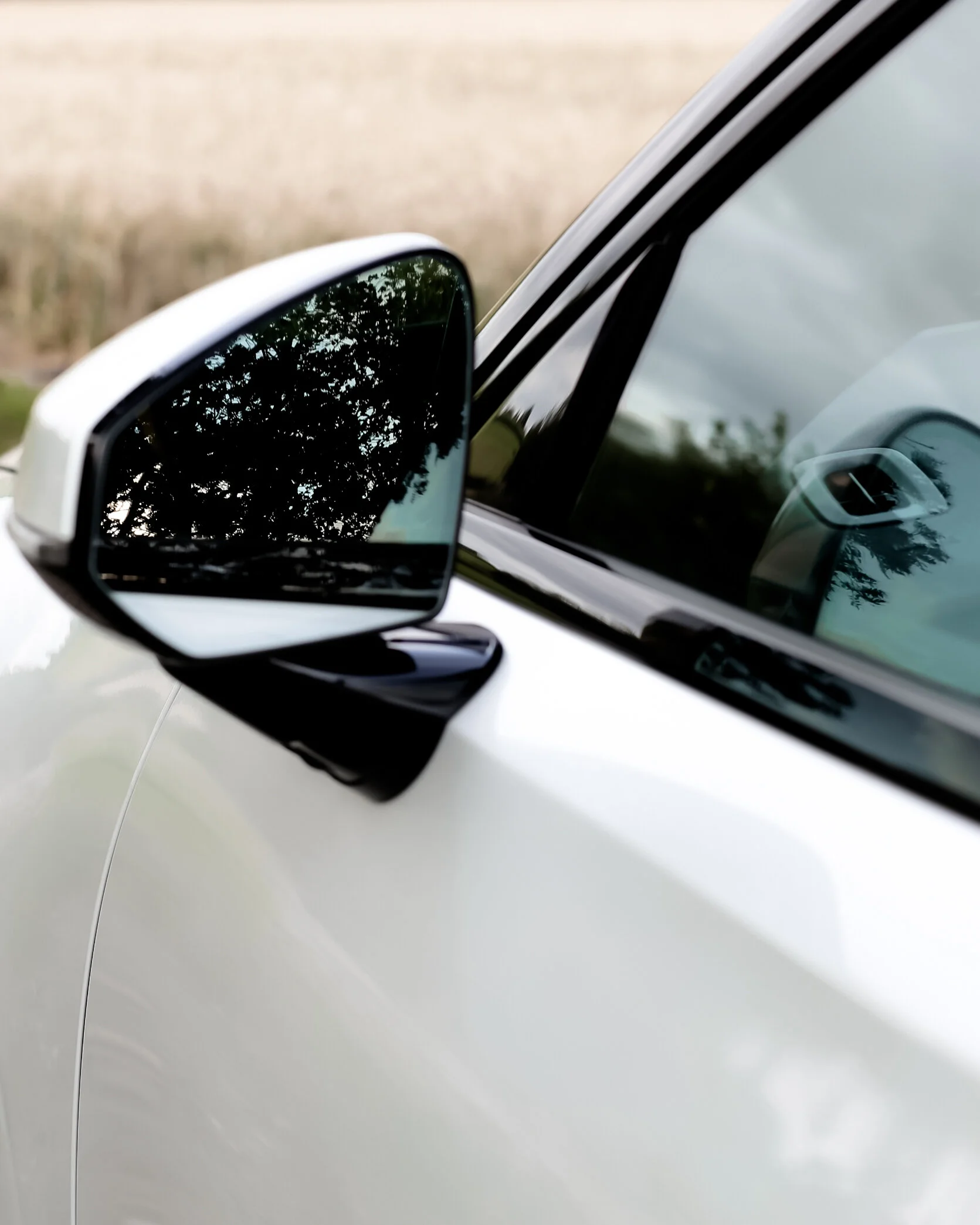 Polestar-1-12.jpg