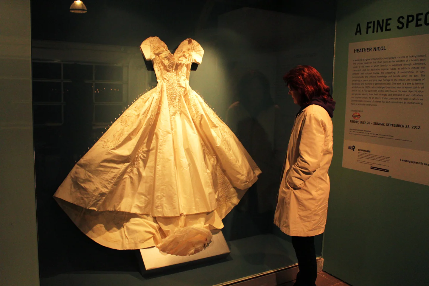 A fine Specimen_installation view.jpg