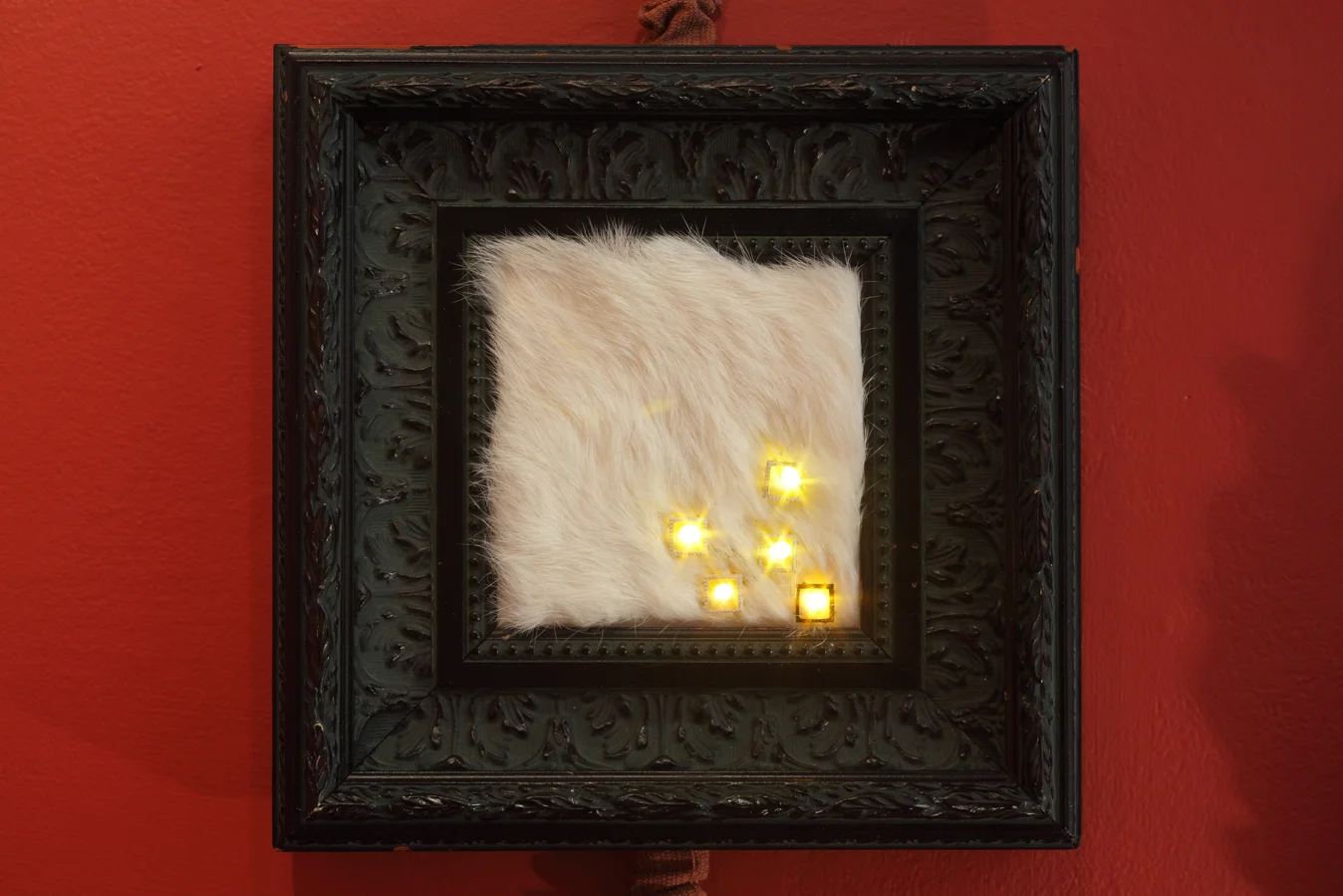 sparkles in fur_for bill.jpg