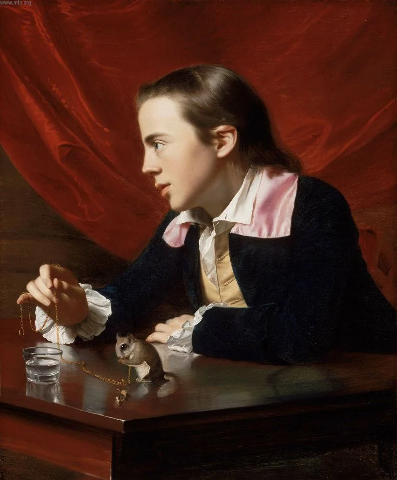 John Singleton Copley , Boy with a Squirrel (1765), oil on canvas.