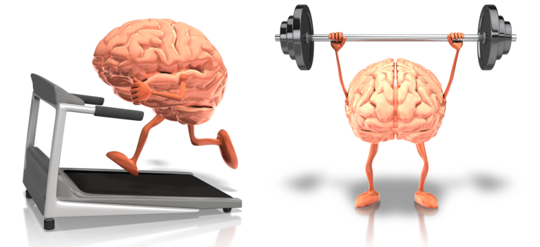 brain-treadmill-barbell-gym.png