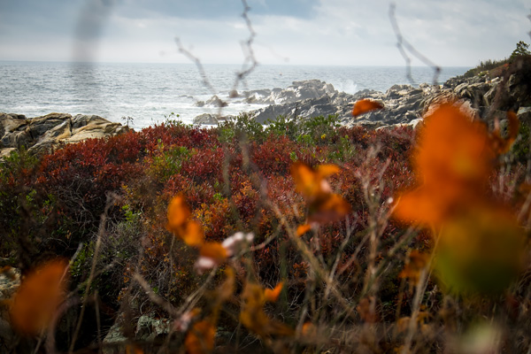 Kennebunk coast, Maine