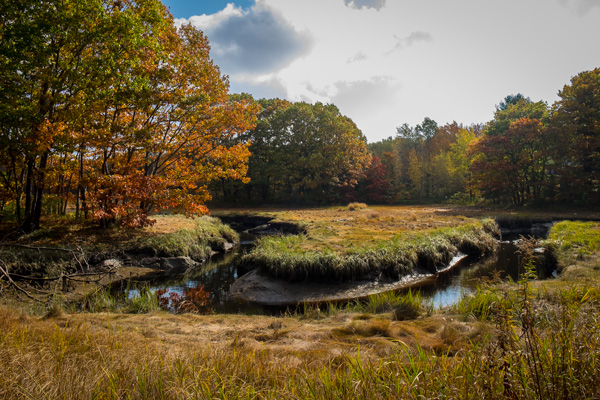 Estuaries along the Southern Maine coast