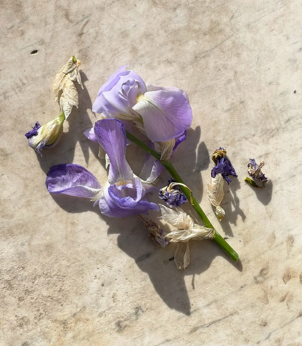 Scent Journal - Iris