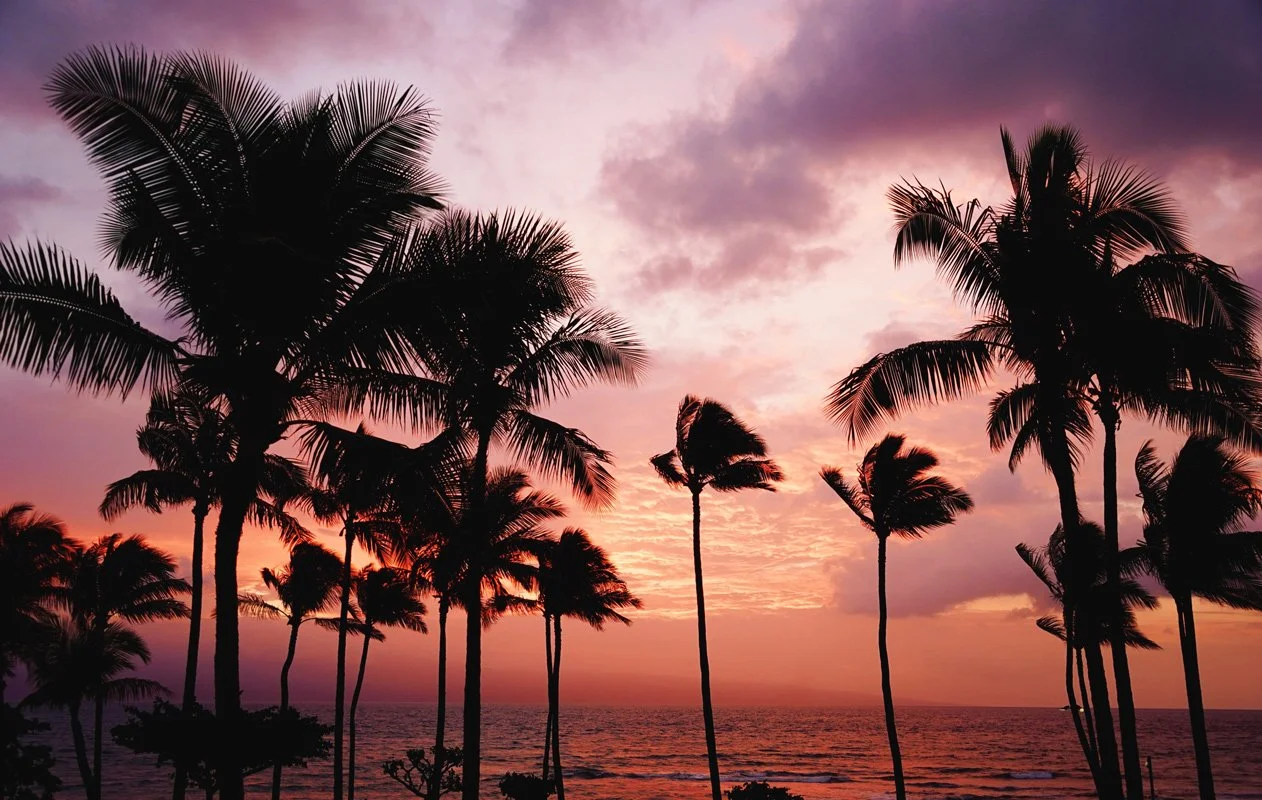 Beach at sunset in Hawaii