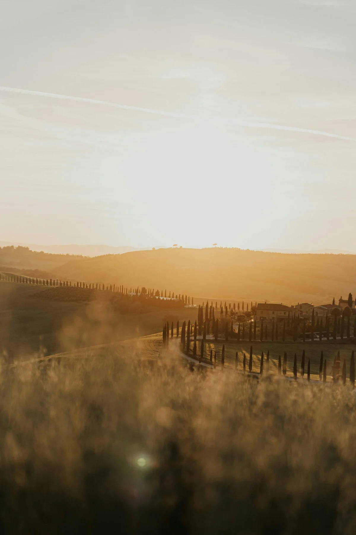 Scenic view of rolling hills in Tuscany with numerous tall, thin cypress trees, some houses, and mist rising from the ground at sunrise or sunset.