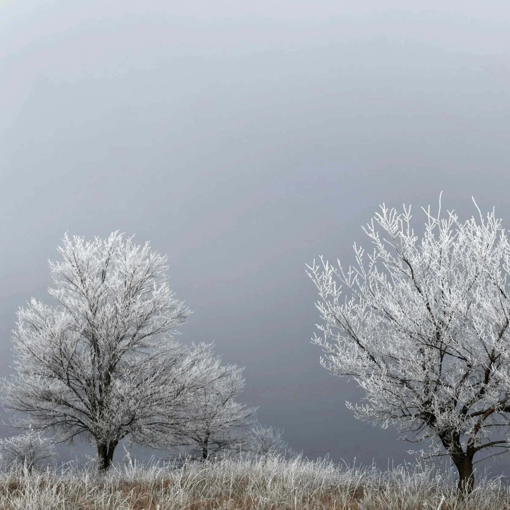 winterscene2.jpg