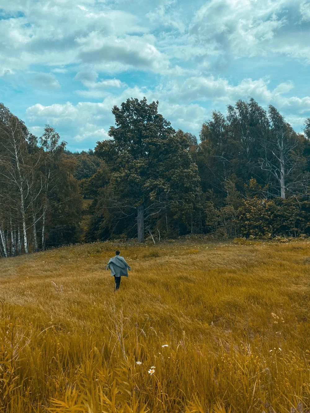 Male figure walking through a grassy field towards a dense Upstate New  York forest under a partly cloudy sky.