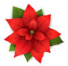 Poinsettia Image.png