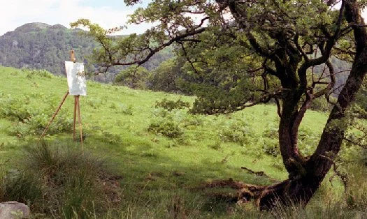 tim-knowles-tree-drawings.jpg