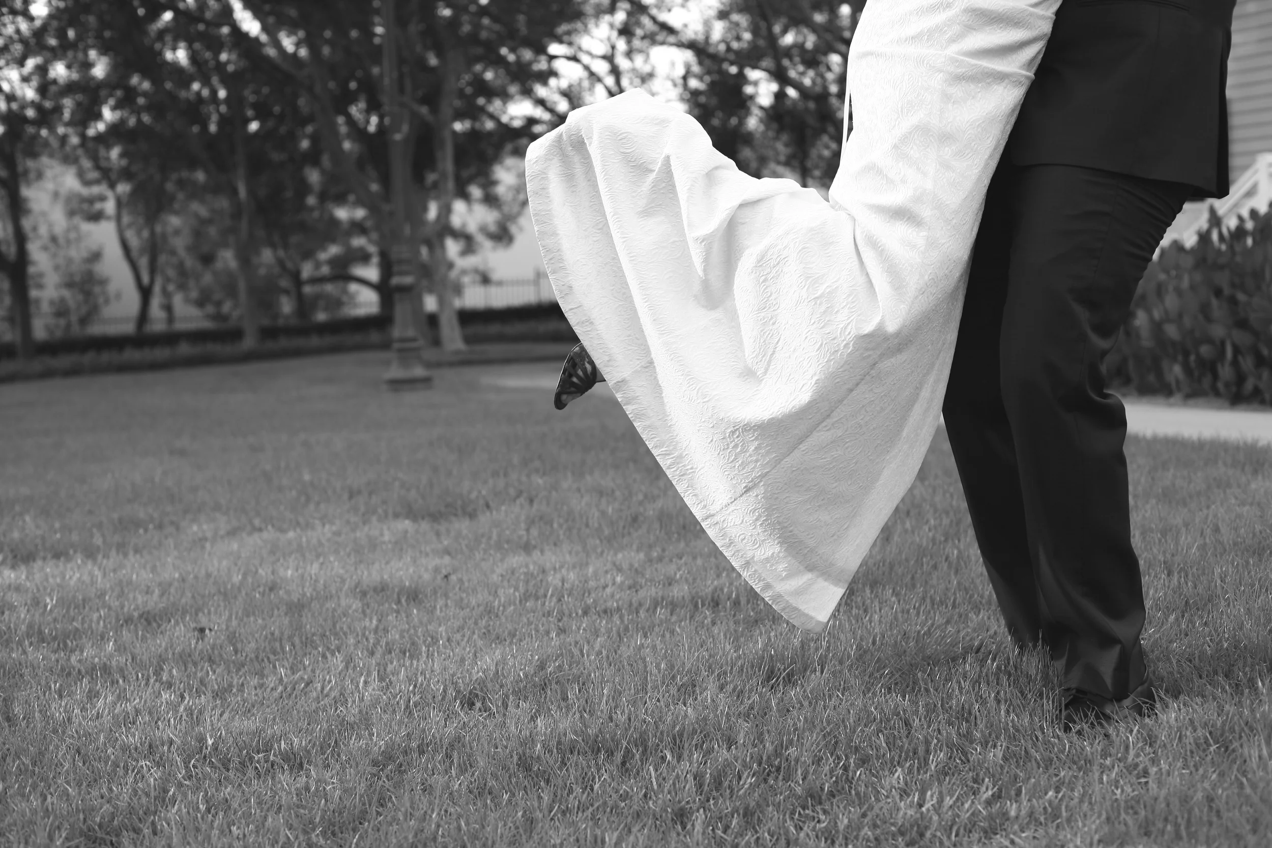 IMG_6546 - Version 2.JPG