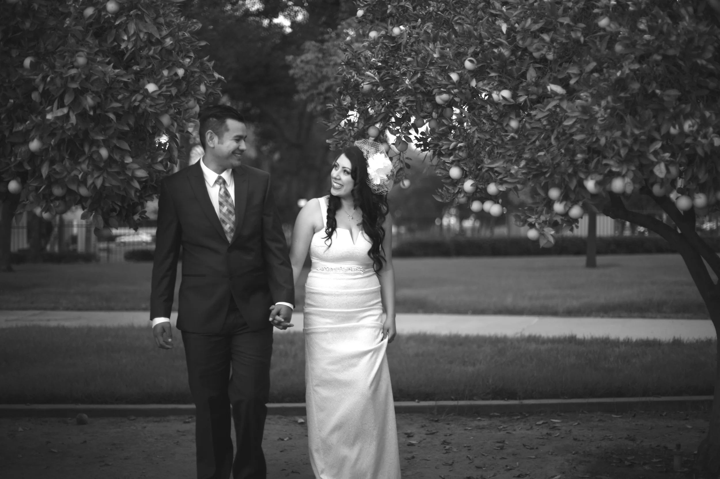 IMG_6734 - Version 2.JPG