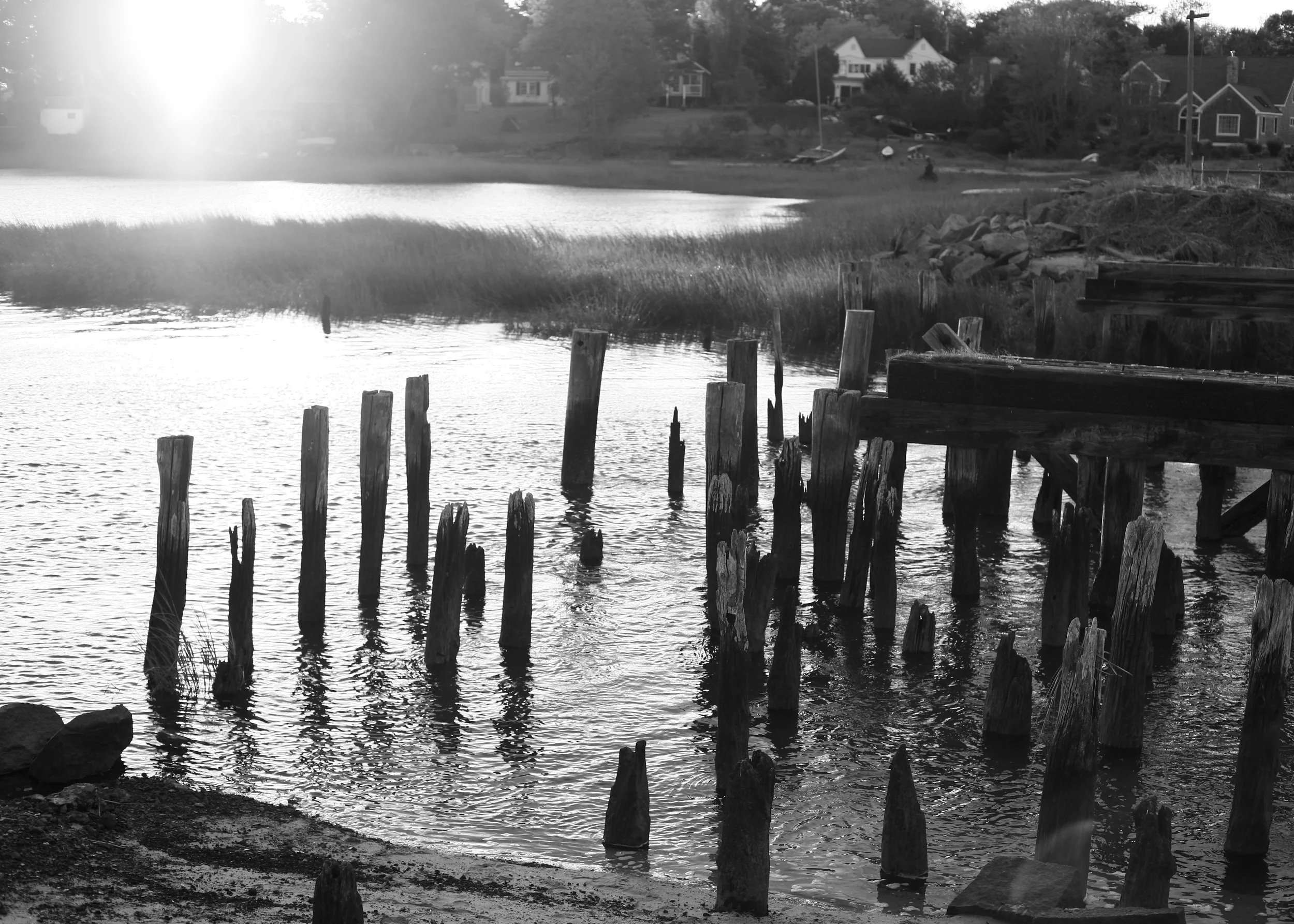 IMG_6661 - Version 2.JPG