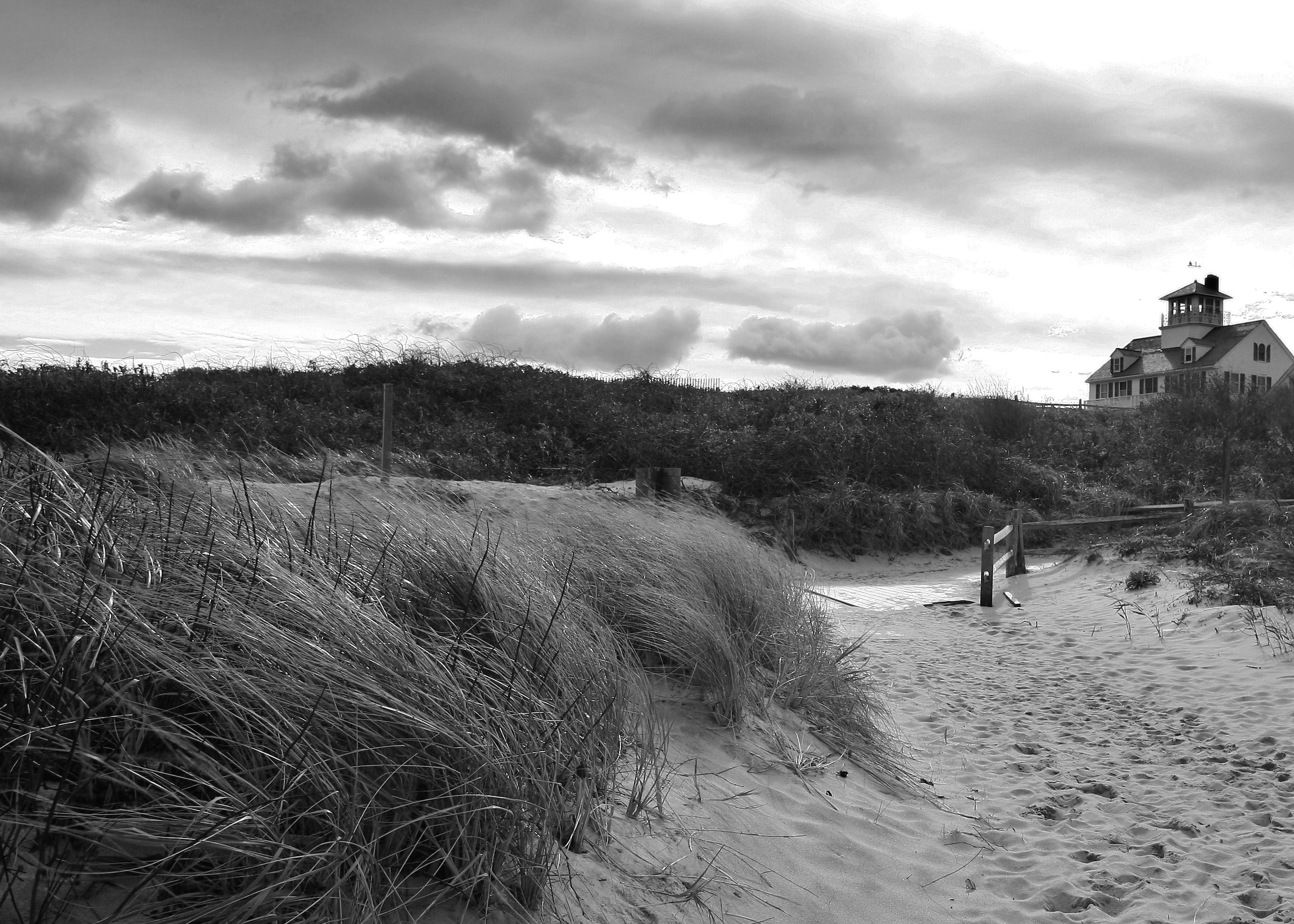 IMG_6522 - Version 2.JPG