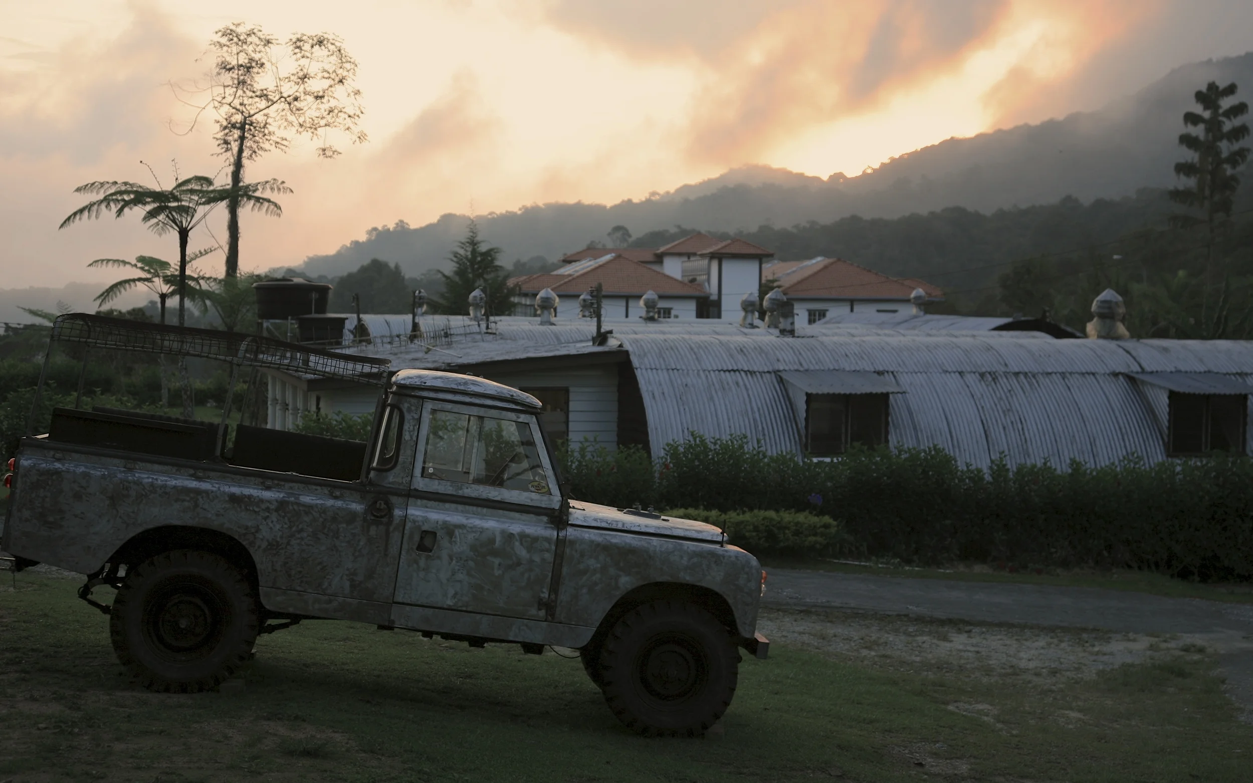  Dusk in the Cameron Highlands 