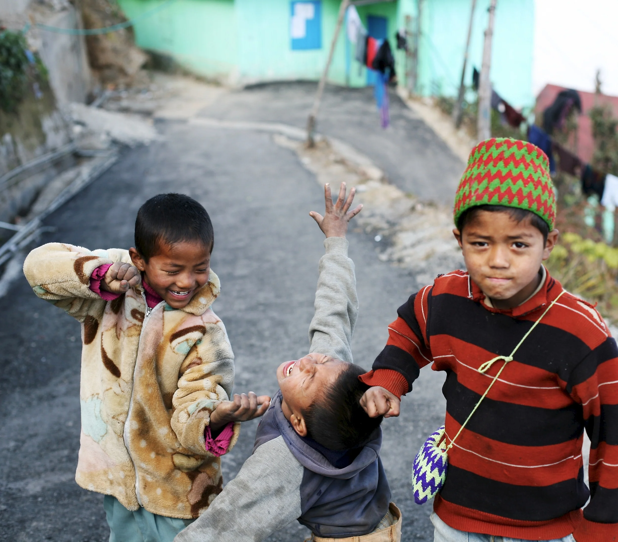  Darjeeling (they're joking) 