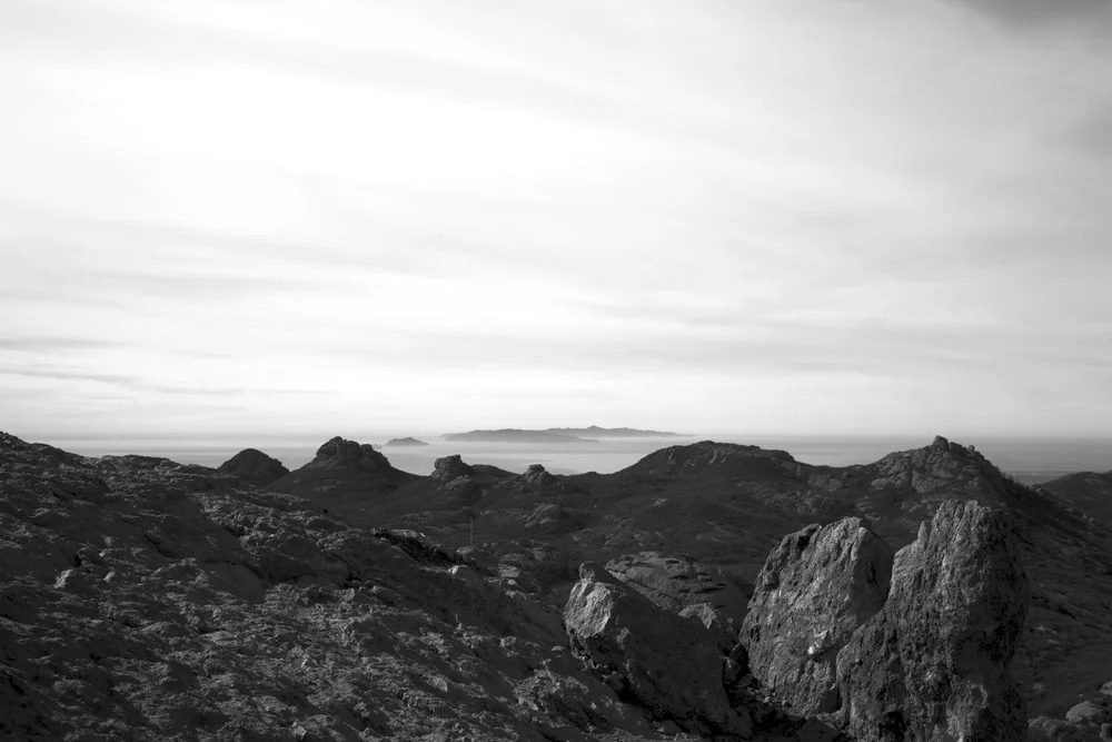 IMG_0723 - Version 2.jpg