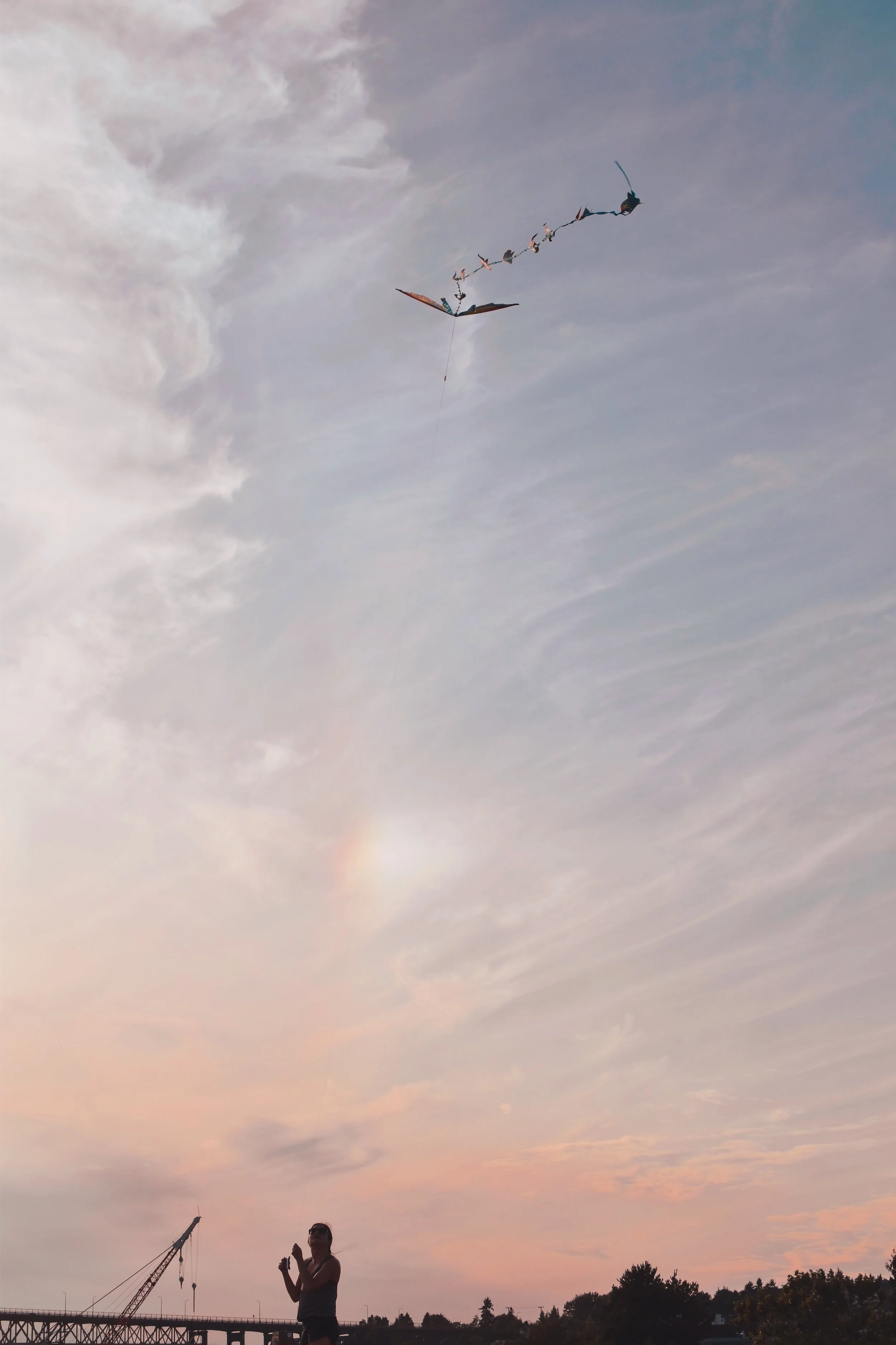 1465D9CE-D62D-4EB4-83B5-A3AECAAD68E2.jpg