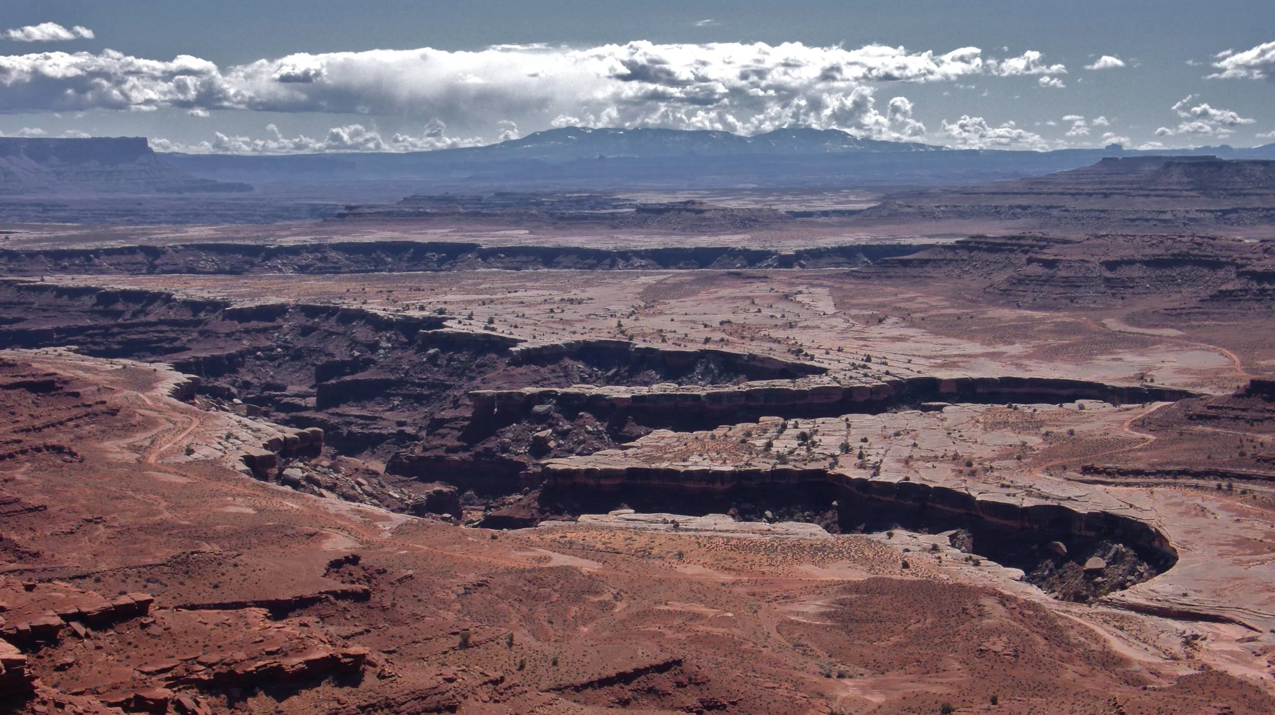 P1100643_2.jpg
