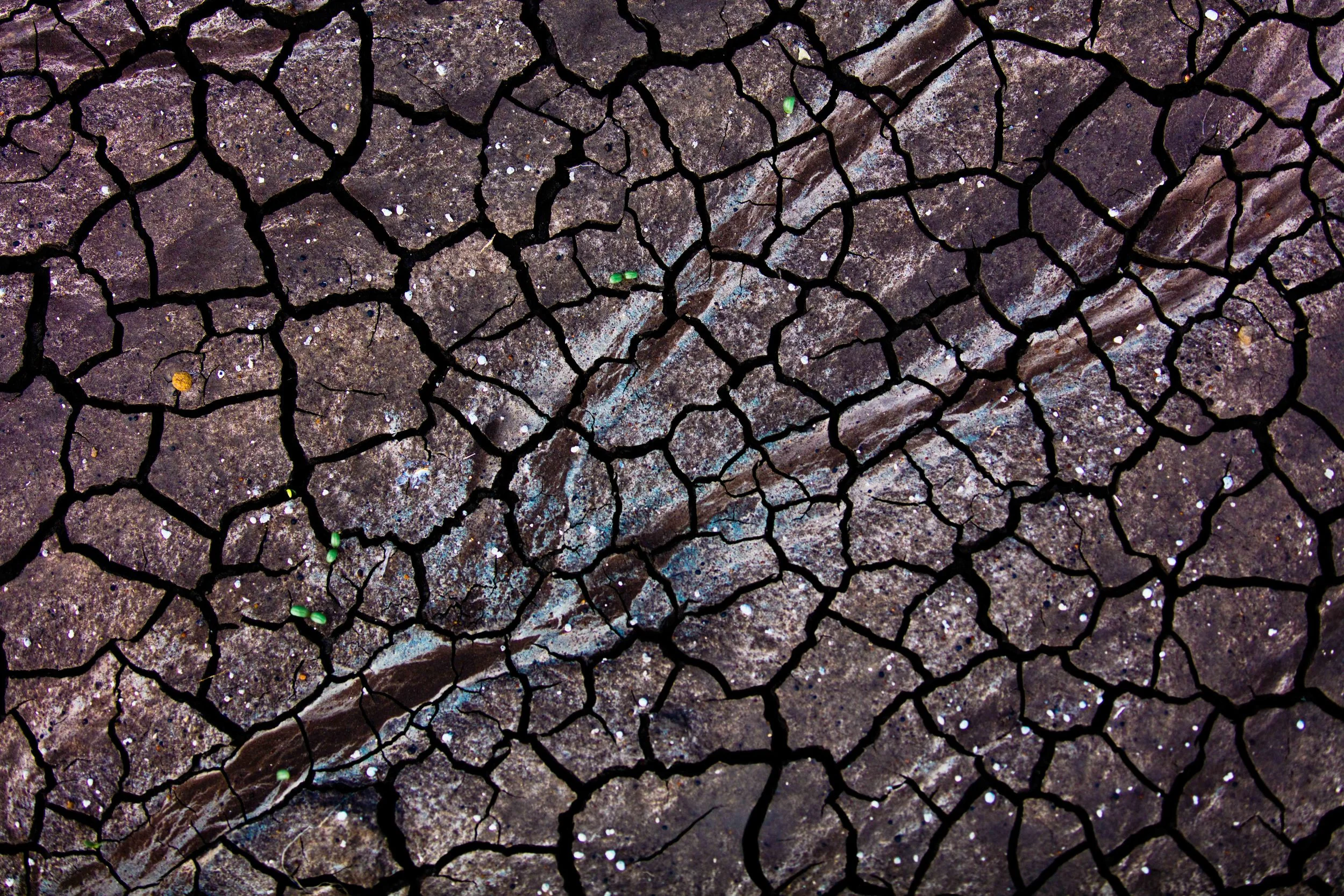 The universe on dried dirt (1 of 1).jpg