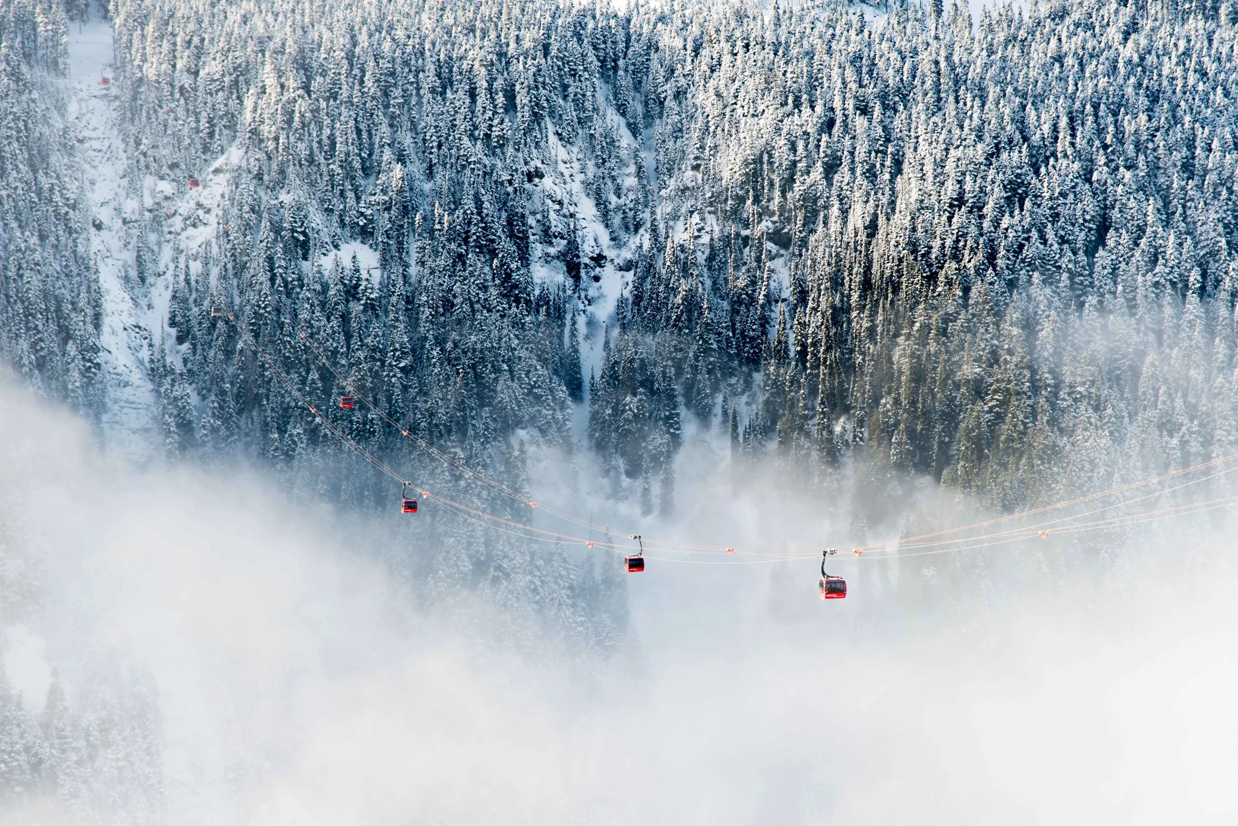 whistler trams.jpg