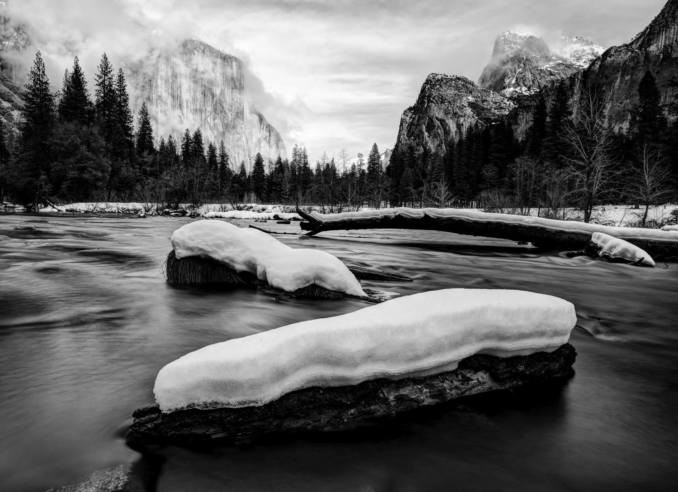 PRINTS (4 of 42).jpg