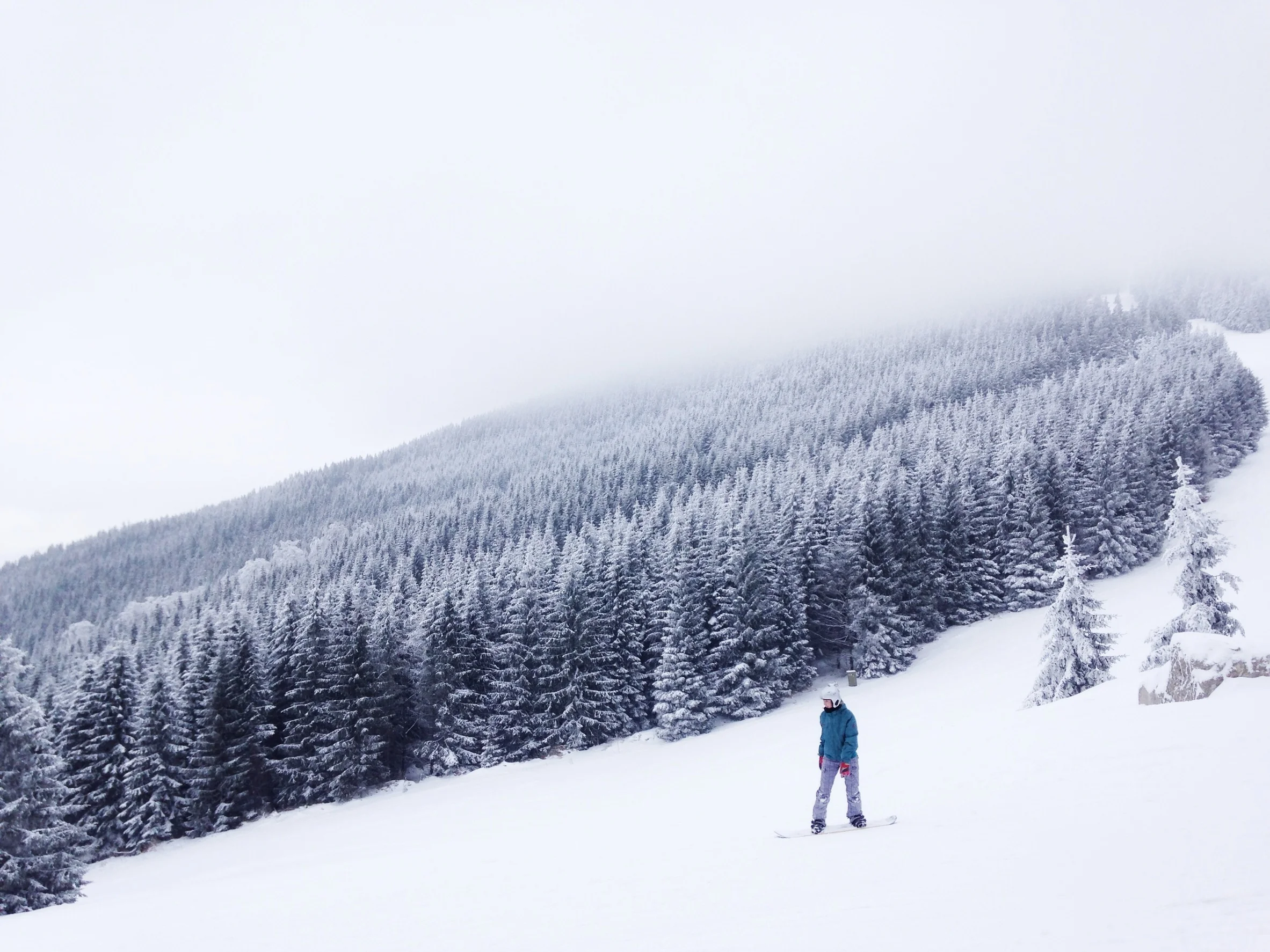 snowboarding-690303.jpg