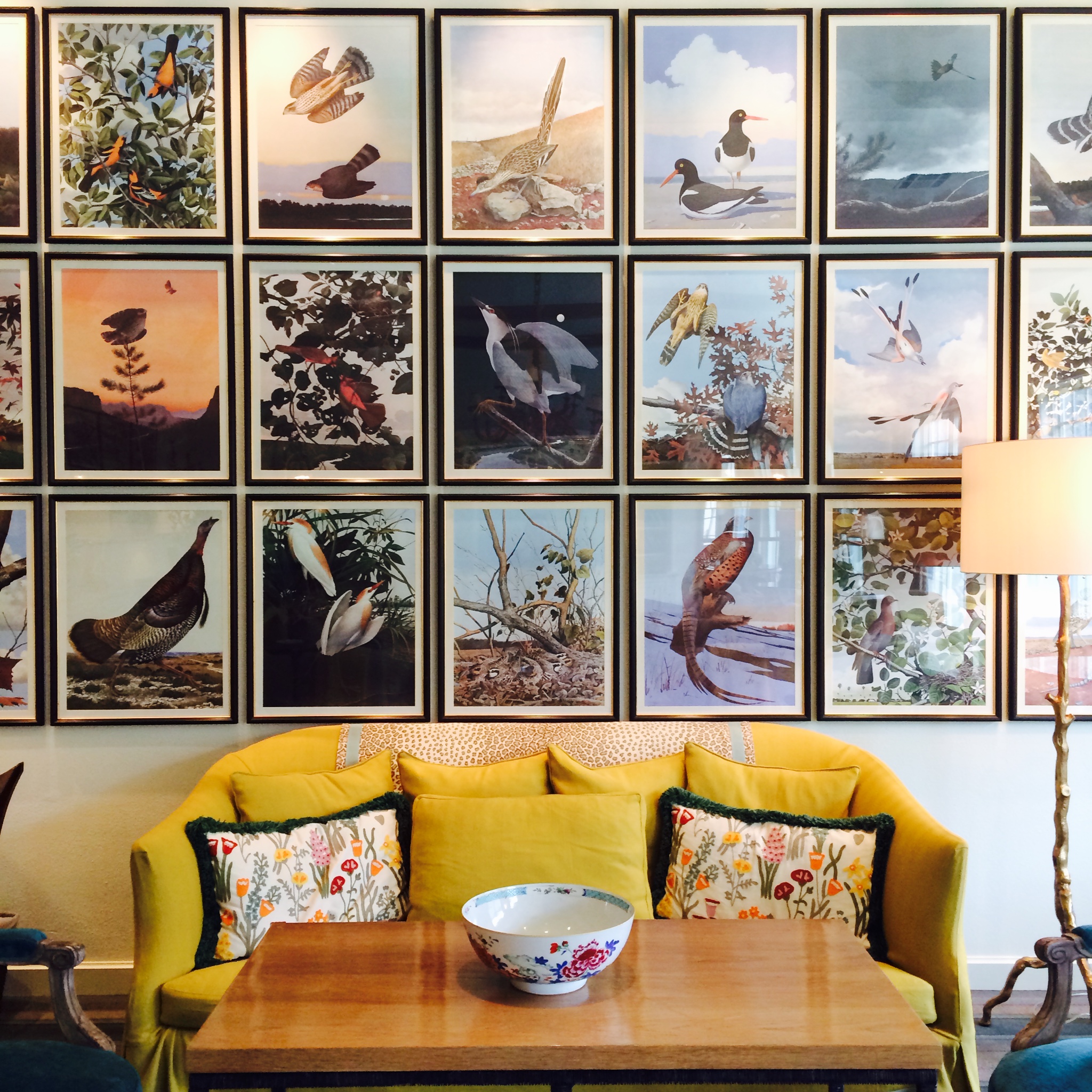 Lake Austin Spa Bird Room