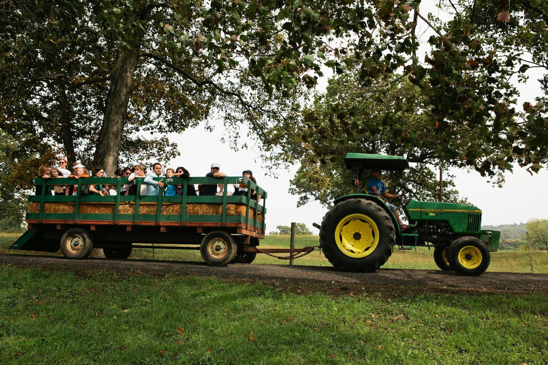 Stone Barns Center Harvest Fest