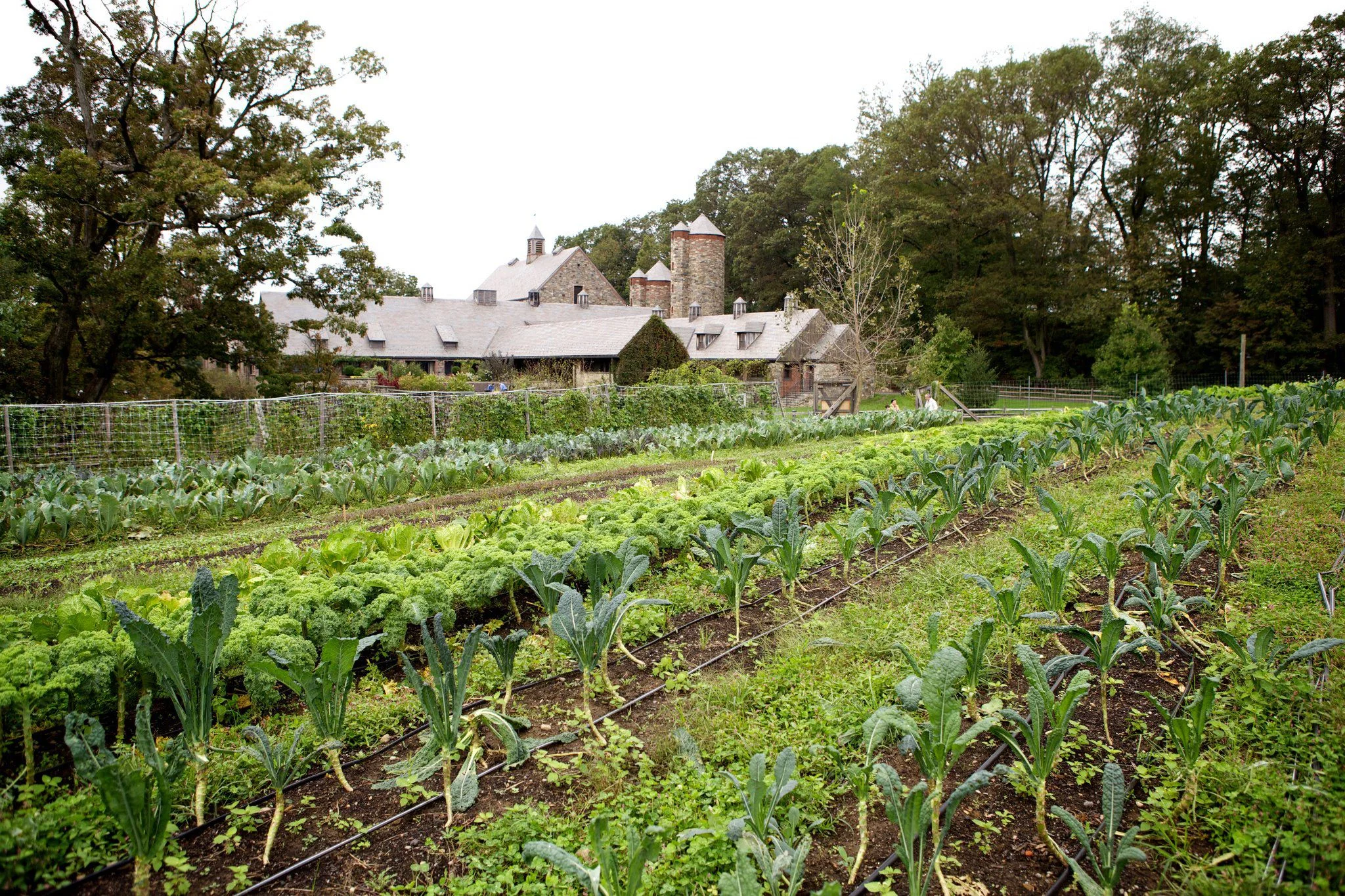 Stone Barns Center