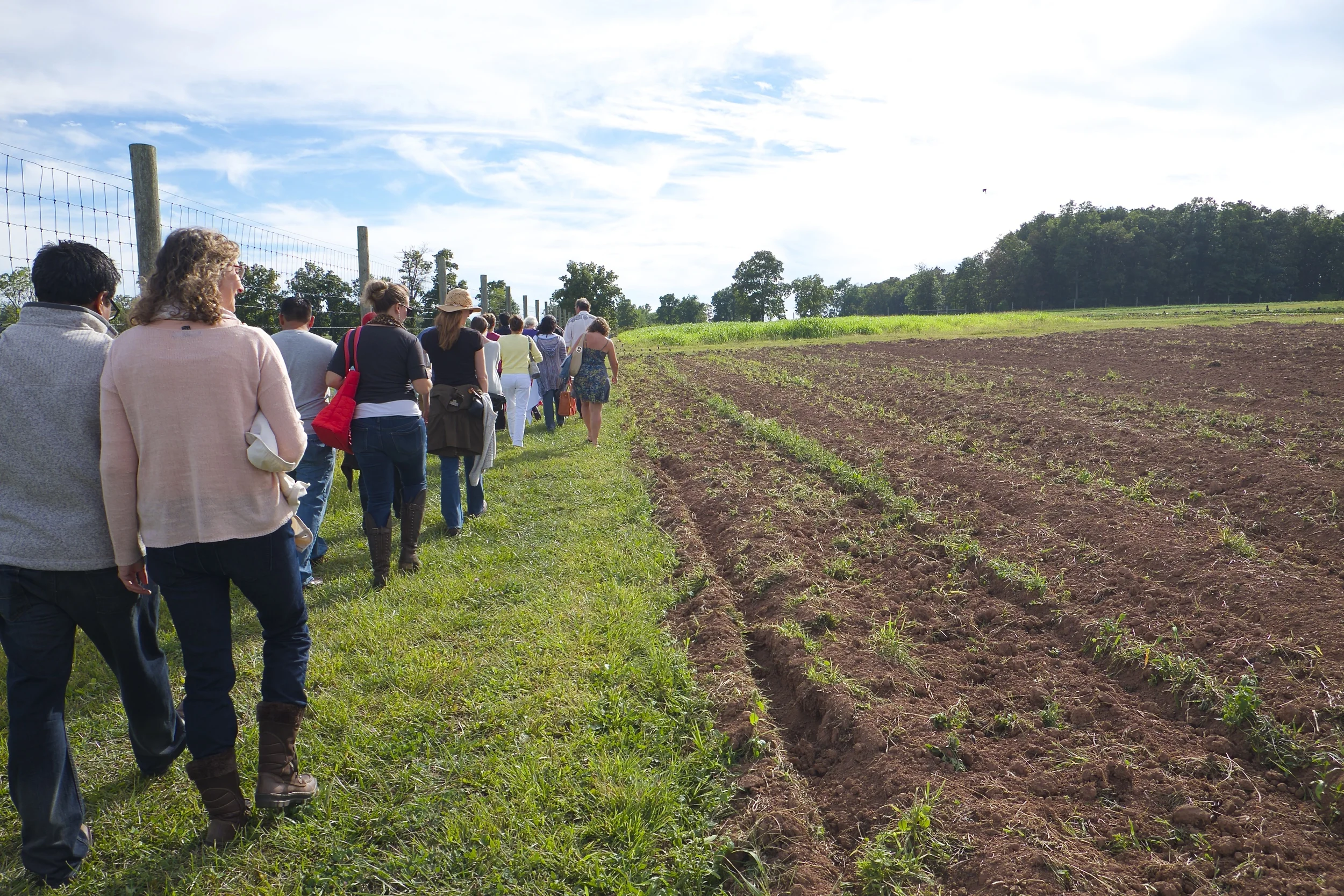 Bloominglen Farm