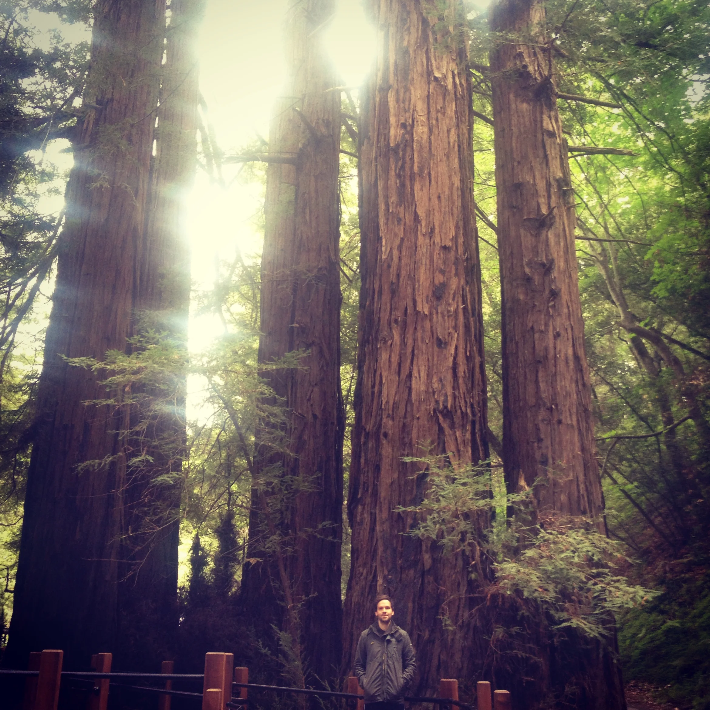 Pfieffer Big Sur
