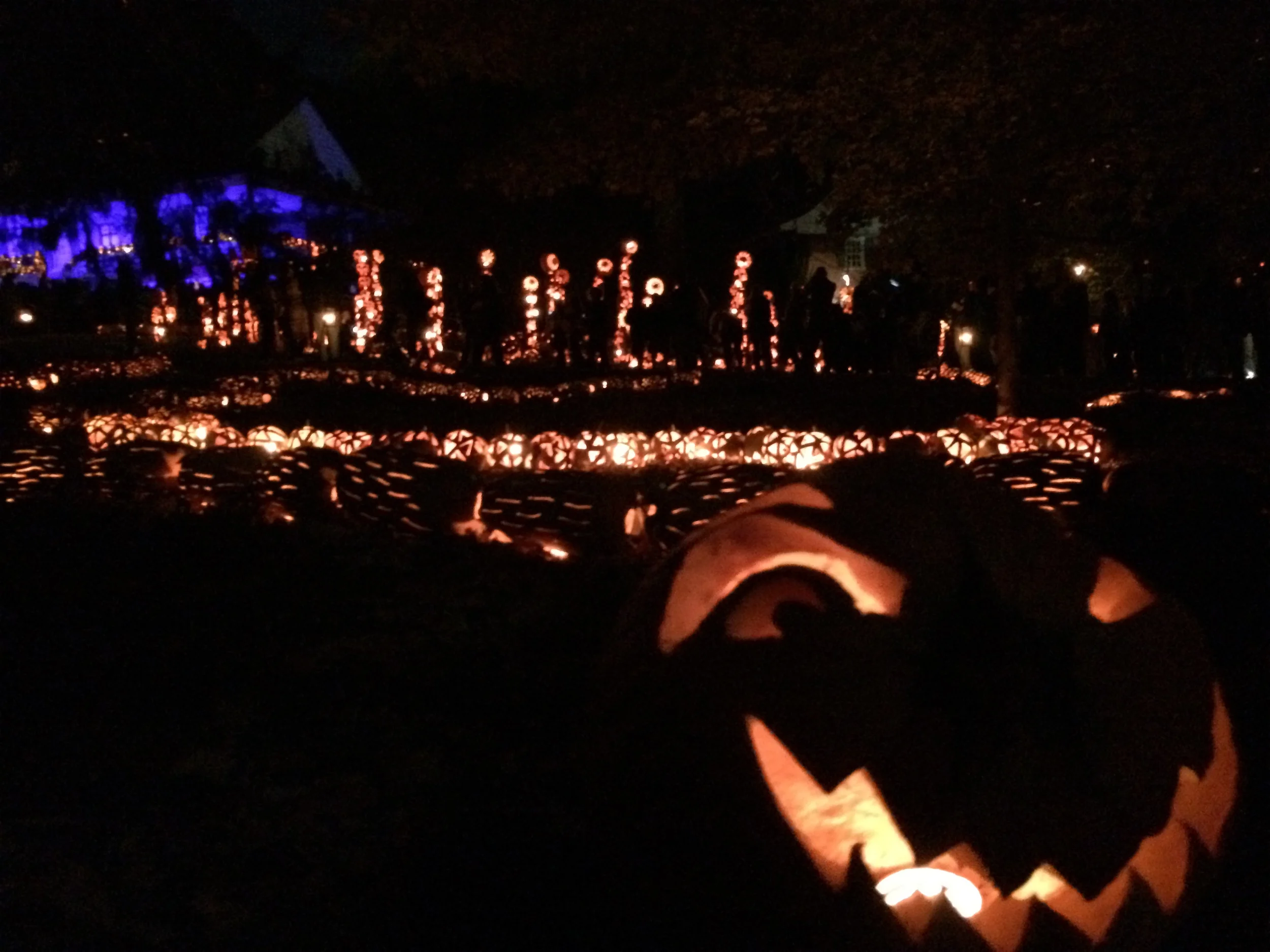 Great Jack O Lantern Blaze