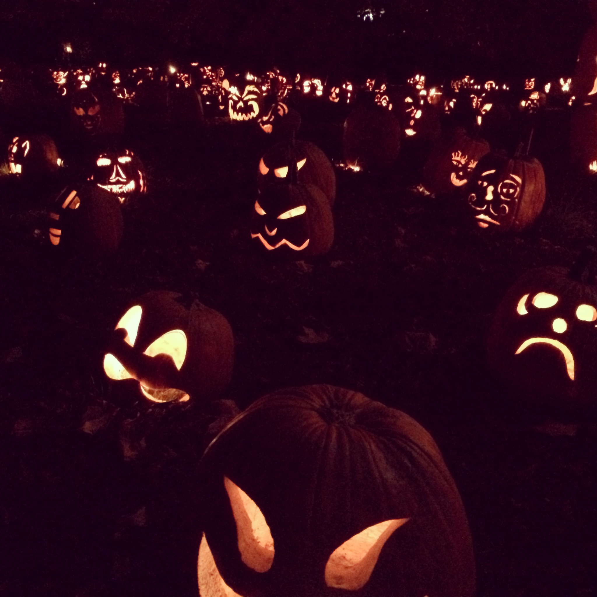 the Great Jack O'Lantern Blaze in the Hudson Valley
