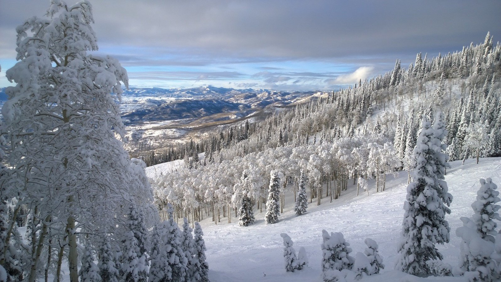 The slopes of Steamboat Springs, Colorado