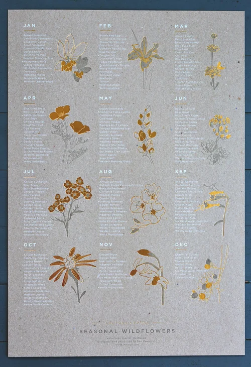 Seasonal Wildflowers Chart by Young America Creative