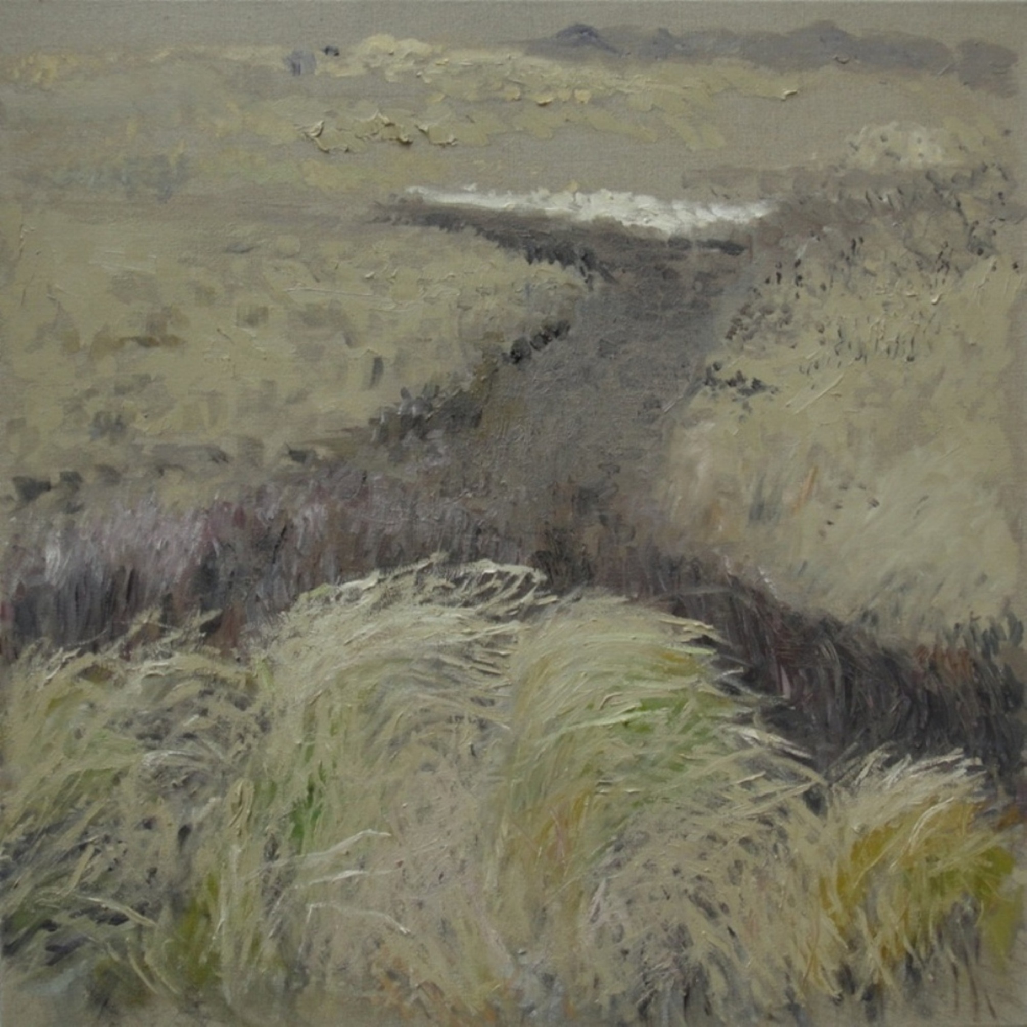 Marram