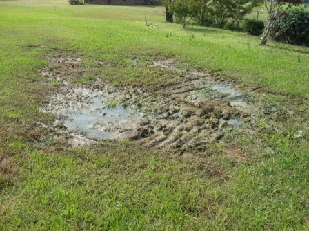 How Failing Septic Systems Can Be Hazardous to Your Health