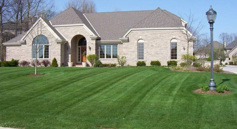 How Do I Properly Care for my Septic System?