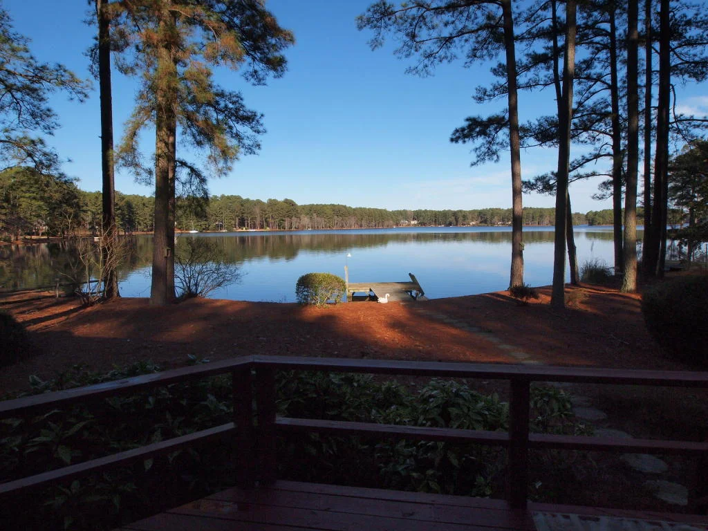 Guest Post: Betsy Robinson of Area Real Estate Partners