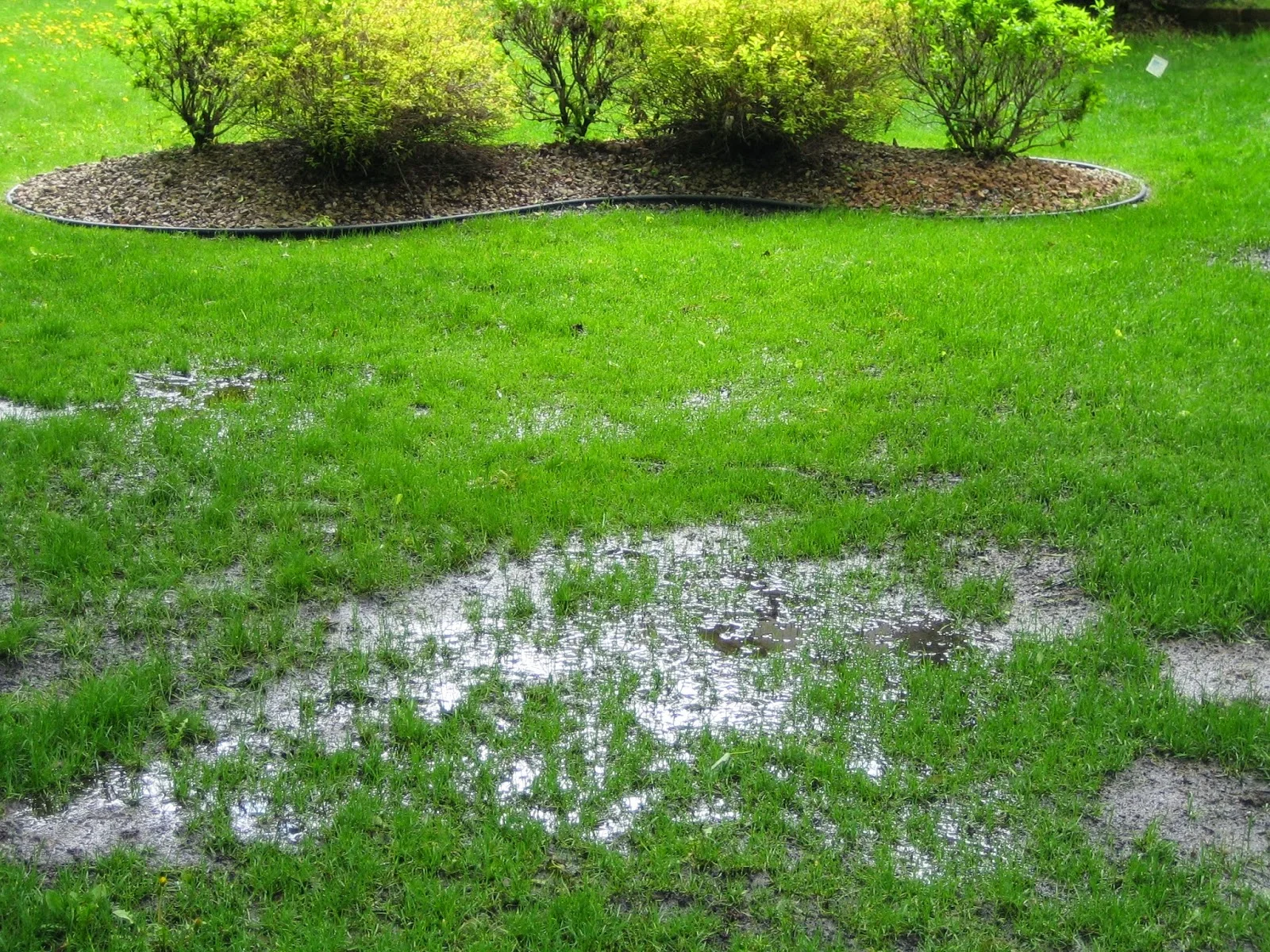 Saturated Leach Field Checklist